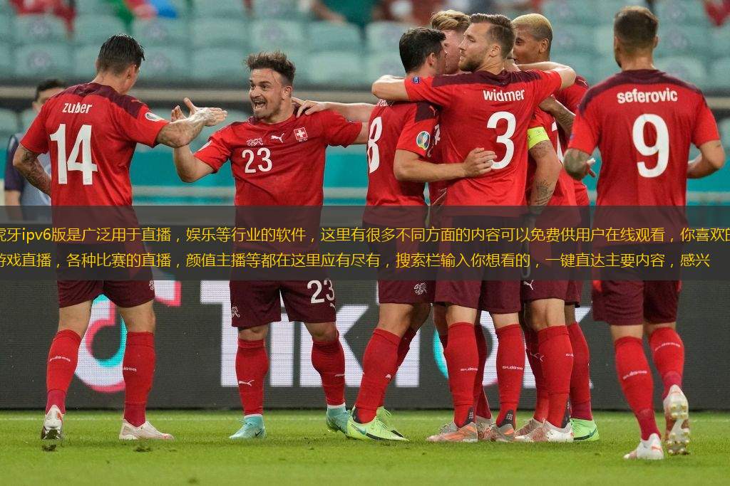 虎牙ipv6版是广泛用于直播，娱乐等行业的软件，这里有很多不同方面的内容可以免费供用户在线观看，你喜欢的游戏直播，各种比赛的直播，颜值主播等都在这里应有尽有，搜索栏输入你想看的，一键直达主要内容，感兴