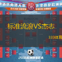 标准流浪VS杰志