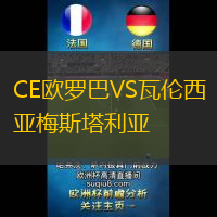 CE欧罗巴VS瓦伦西亚梅斯塔利亚