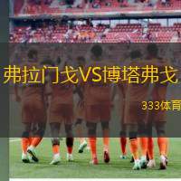 弗拉门戈VS博塔弗戈