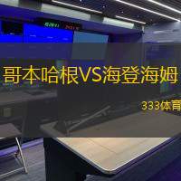 哥本哈根VS海登海姆