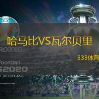 哈马比VS瓦尔贝里