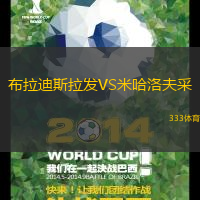 布拉迪斯拉发VS米哈洛夫采