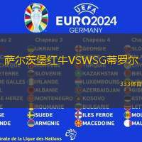 萨尔茨堡红牛VSWSG蒂罗尔