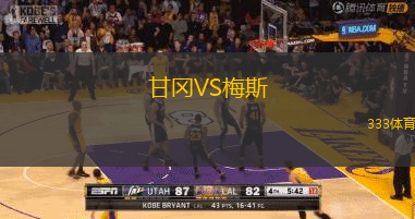 甘冈VS梅斯