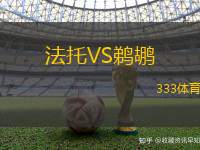 法托VS鹈鹕