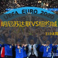 明尼苏达联VS纽约城