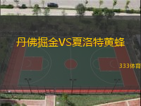 丹佛掘金VS夏洛特黄蜂