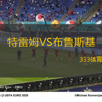 特雷姆VS布鲁斯基