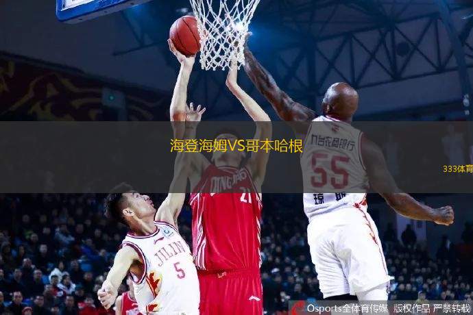 海登海姆VS哥本哈根