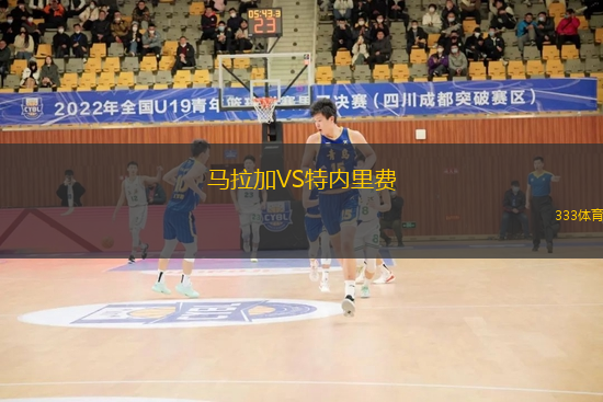 马拉加VS特内里费