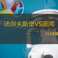 沃尔夫斯堡VS波鸿