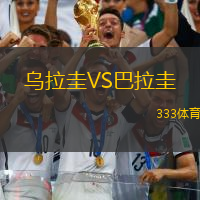 乌拉圭VS巴拉圭
