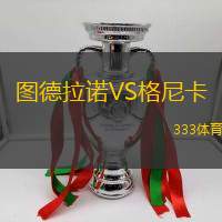 图德拉诺VS格尼卡
