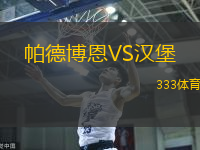 帕德博恩VS汉堡