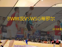 BW林茨VSWSG蒂罗尔