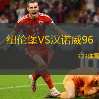 纽伦堡VS汉诺威96