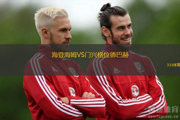 海登海姆VS门兴格拉德巴赫