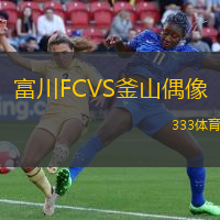 富川FCVS釜山偶像