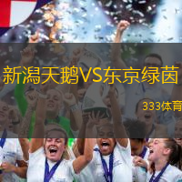 新潟天鹅VS东京绿茵