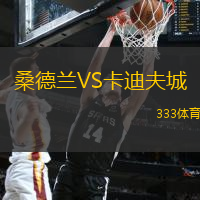 桑德兰VS卡迪夫城