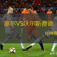 塞尔VS沃尔斯费德