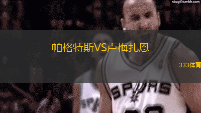 帕格特斯VS卢梅扎恩