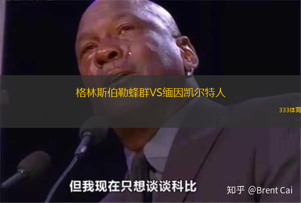 格林斯伯勒蜂群VS缅因凯尔特人