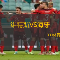 维特斯VS海牙