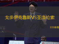 戈多伊克鲁斯VS圣洛伦索
