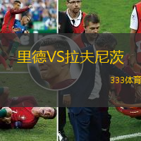 里德VS拉夫尼茨