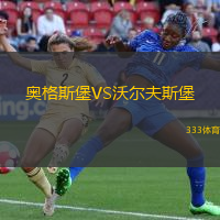 奥格斯堡VS沃尔夫斯堡