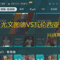 尤文图德VS瓦伦西亚