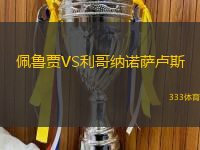 佩鲁贾VS利哥纳诺萨卢斯
