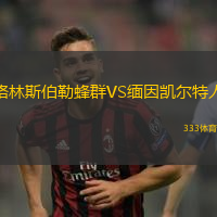格林斯伯勒蜂群VS缅因凯尔特人
