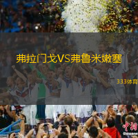 弗拉门戈VS弗鲁米嫩塞