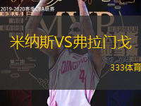 米纳斯VS弗拉门戈