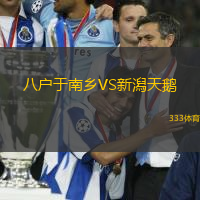 八户于南乡VS新潟天鹅