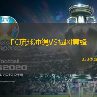 FC琉球冲绳VS福冈黄蜂