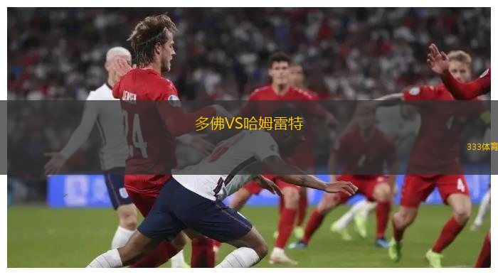 多佛VS哈姆雷特