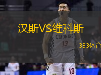 汉斯VS维科斯