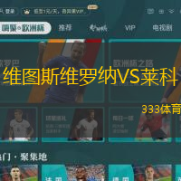 维图斯维罗纳VS莱科