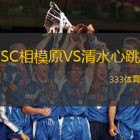 SC相模原VS清水心跳